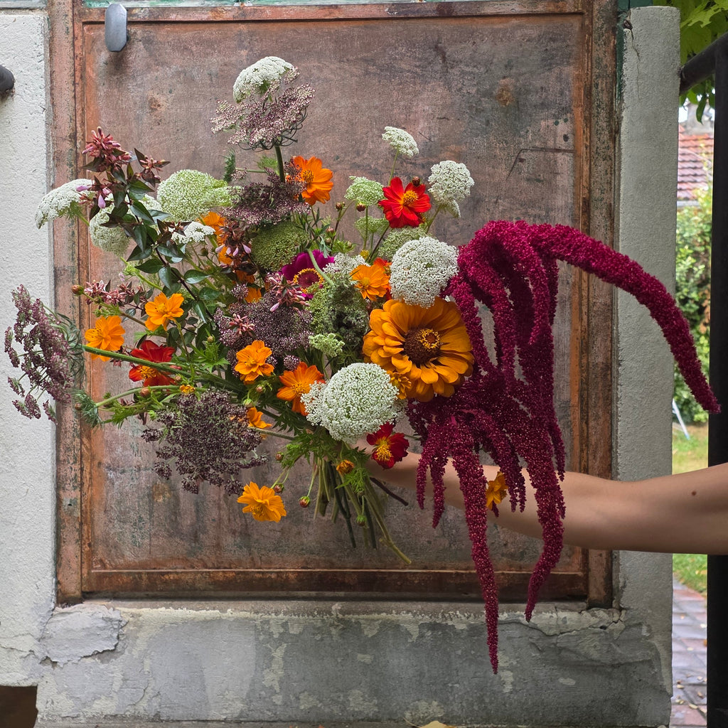 BOUQUET DU MOIS DE SEPTEMBRE : LA MADRAGUE