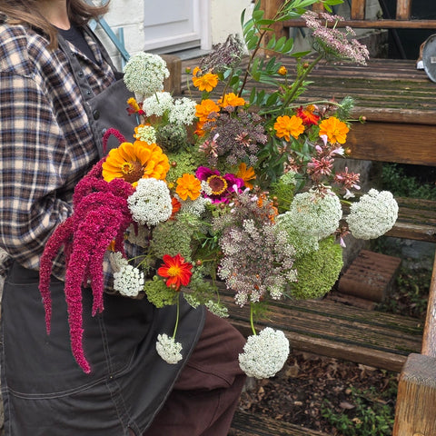 BOUQUET DU MOIS DE SEPTEMBRE : LA MADRAGUE