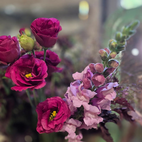 BOUQUET DU MOIS DE SEPTEMBRE : VENDANGE