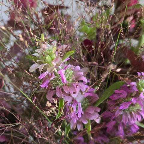 BOUQUET DU MOIS DE SEPTEMBRE : VENDANGE