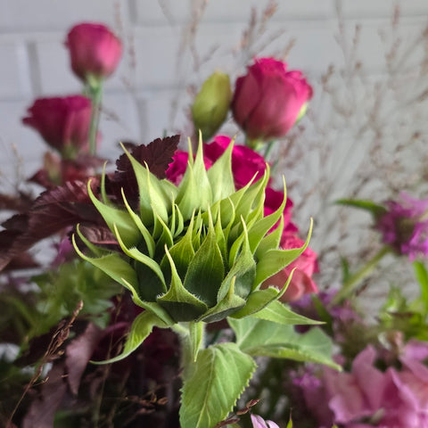 BOUQUET DU MOIS DE SEPTEMBRE : VENDANGE