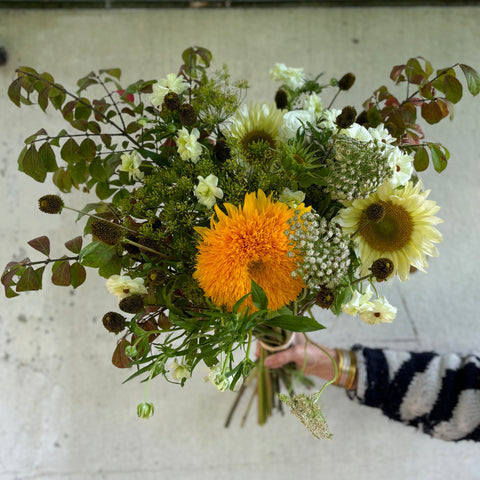 BOUQUET DU MOIS DE SEPTEMBRE - PULSAR