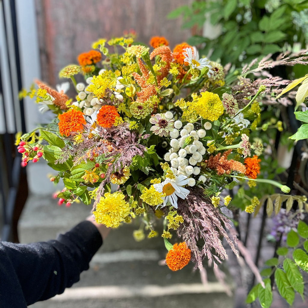 BOUQUET SURPRISE