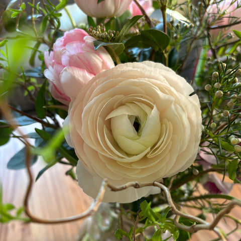 BOUQUET DU MOIS DE MARS : PRIMAVERA