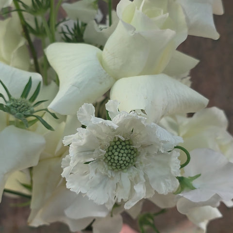BOUQUET DE LA MARIÉE EN FLEURS FRAÎCHES