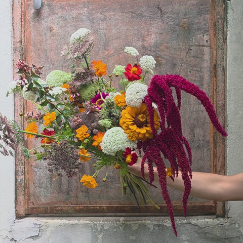 BOUQUET DU MOIS DE SEPTEMBRE : LA MADRAGUE